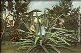 Norman Parkinson Girl in Century Plant, Maguey, Agave painting